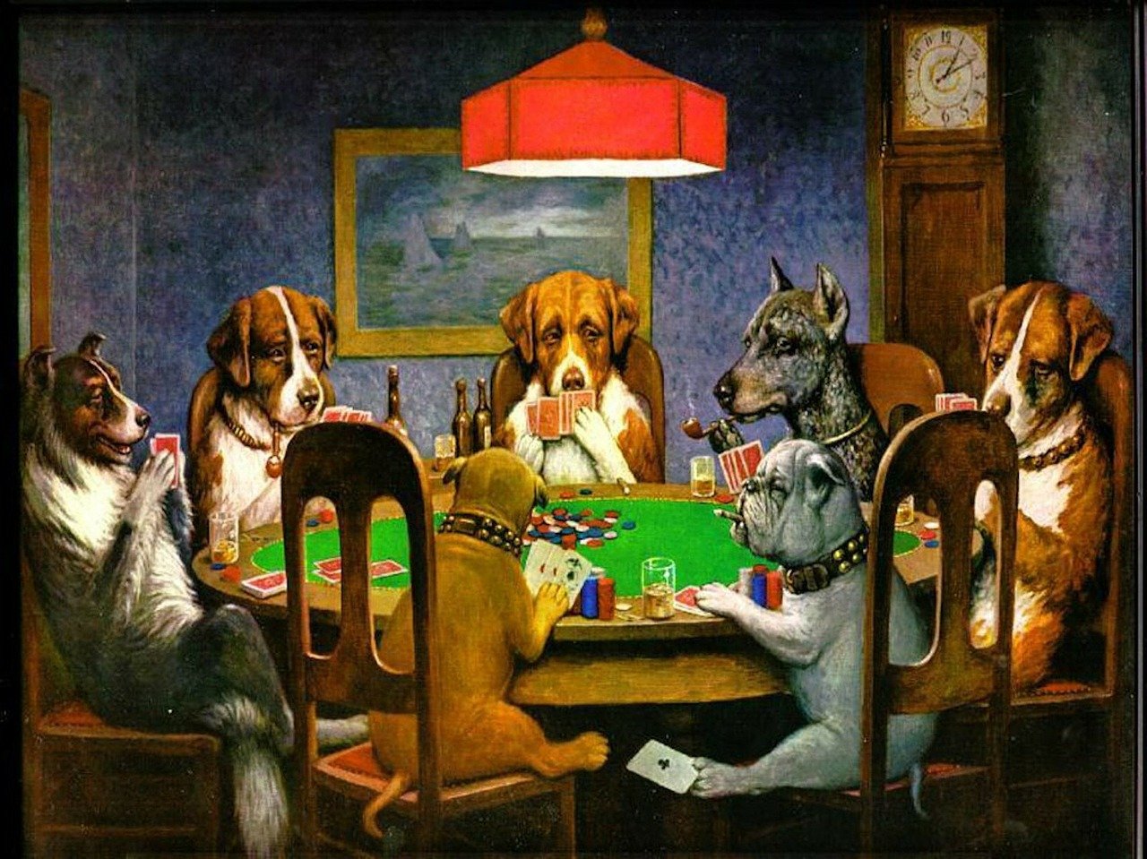 Belum Pernah Main Poker Sebelumnya? Berikut Cara Memulai